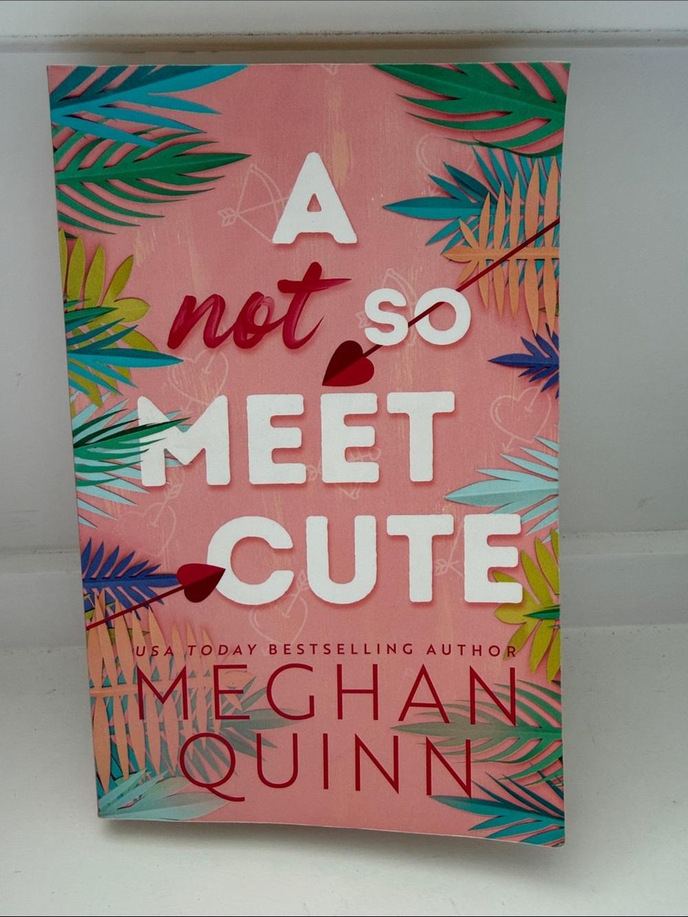 'A Not So Meet Cute' by Meghan Quinn